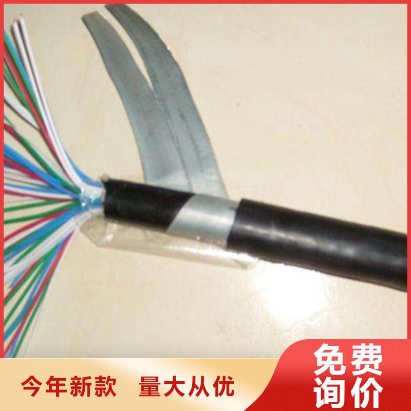 采购PZYY23铠装信号电缆必看-厂家直销