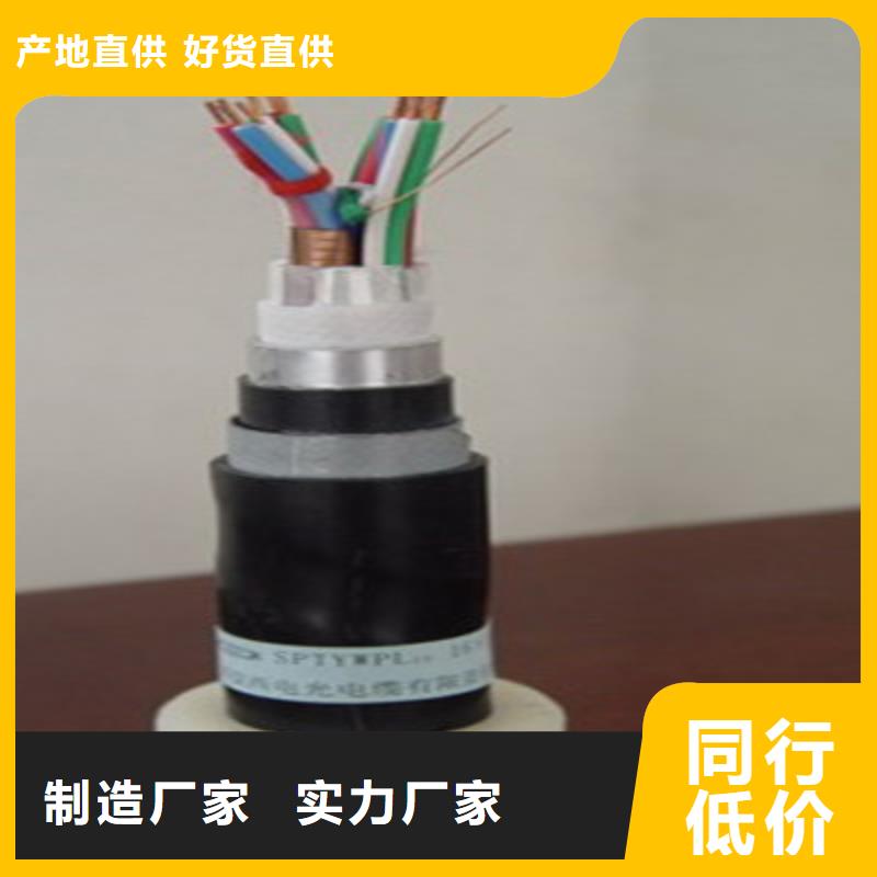 铁路信号电缆通信电缆专业生产制造厂