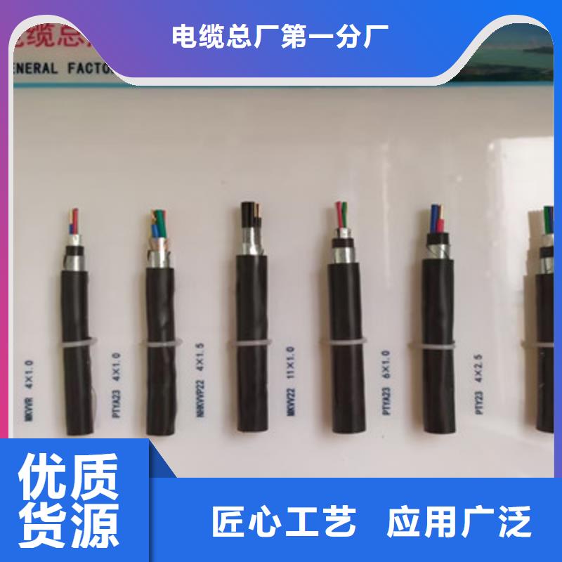 WDZ-19芯信号线缆定制价格