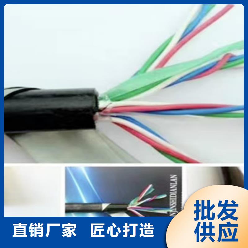 低烟无卤PZY23铁路信号电缆为您服务