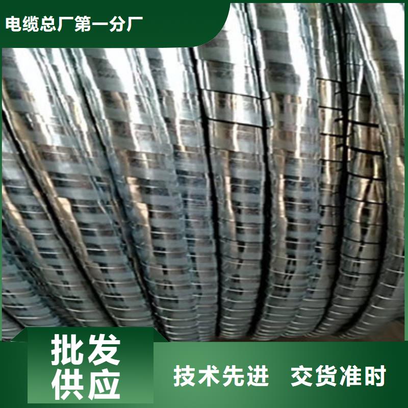 【铁路信号电缆信号电缆商家直供】