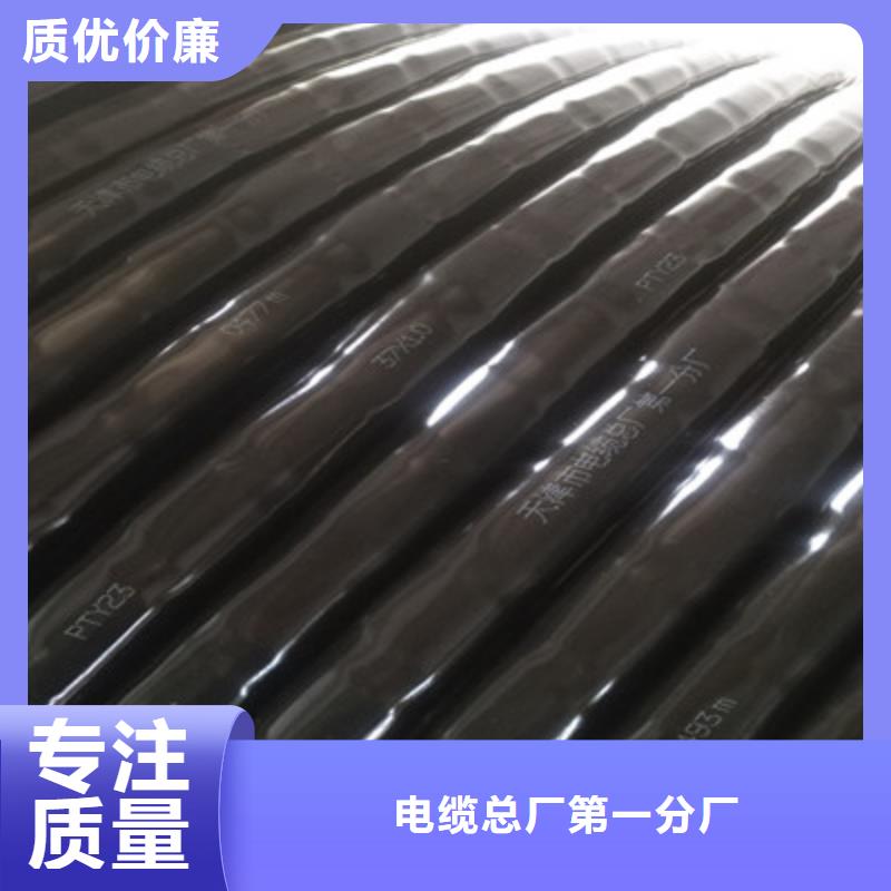 WDZ-56芯铁路信号电缆4X1