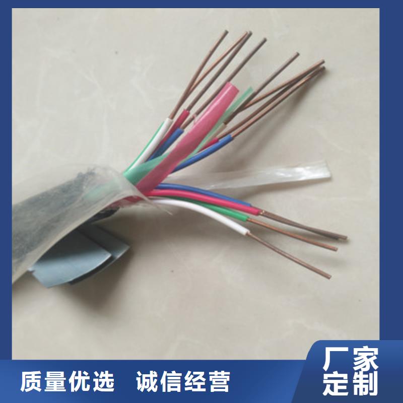 【铁路信号电缆信号电缆商家直供】