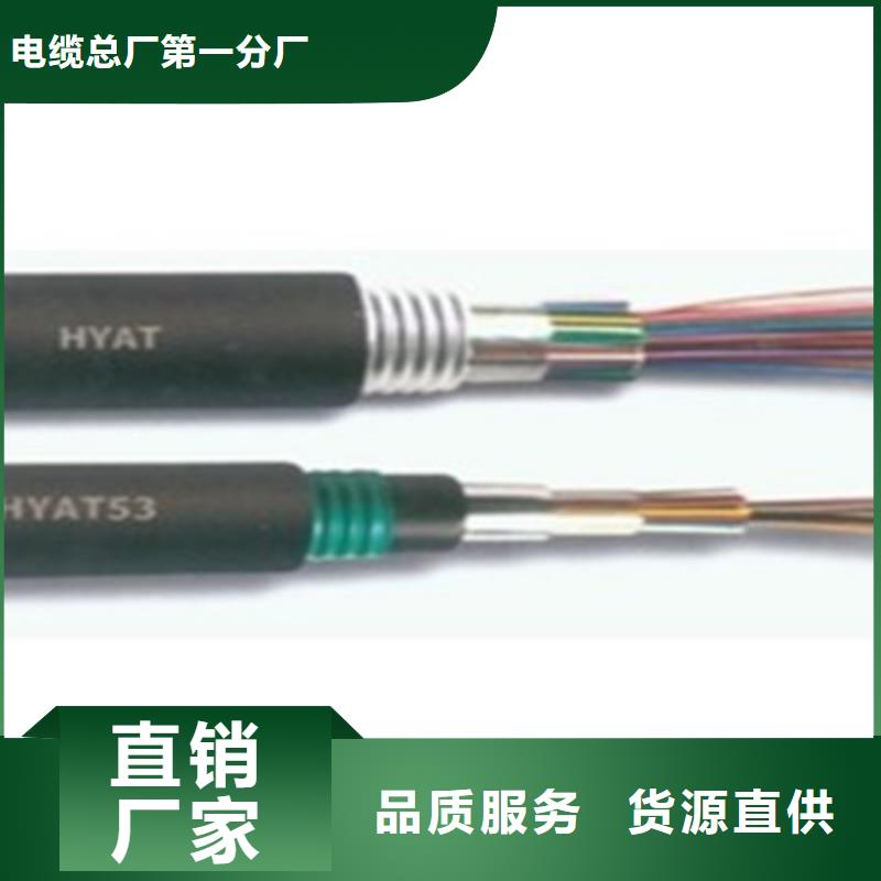WDZ-56芯铁路信号电缆4X1