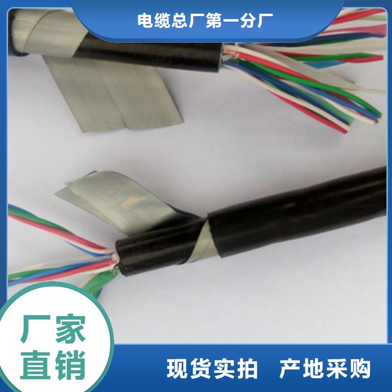 PTYY铁路线缆优质供货厂家