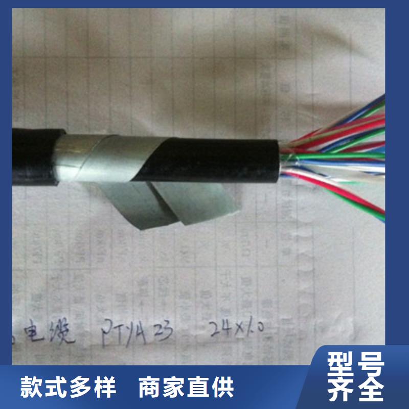 采购PZYY23铠装信号电缆必看-厂家直销