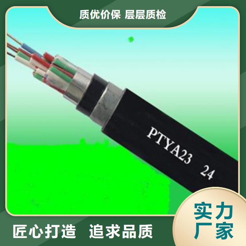 【铁路信号电缆电力电缆用品质赢得客户信赖】