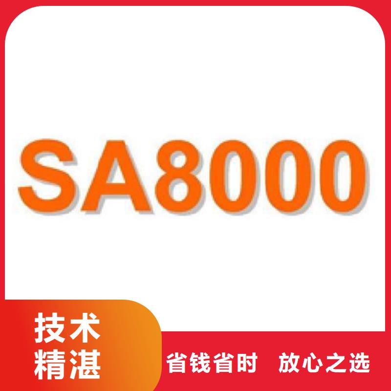 ISO56005认证审核简要