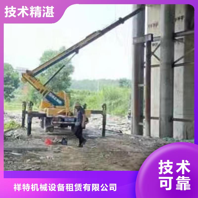 桂城街道登高车租赁服务好