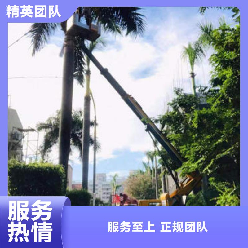 广州番禺高空作业升降车租赁专业服务
