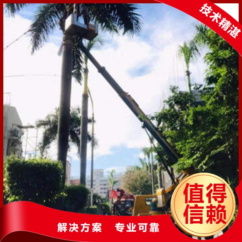 车载式升降机租赁