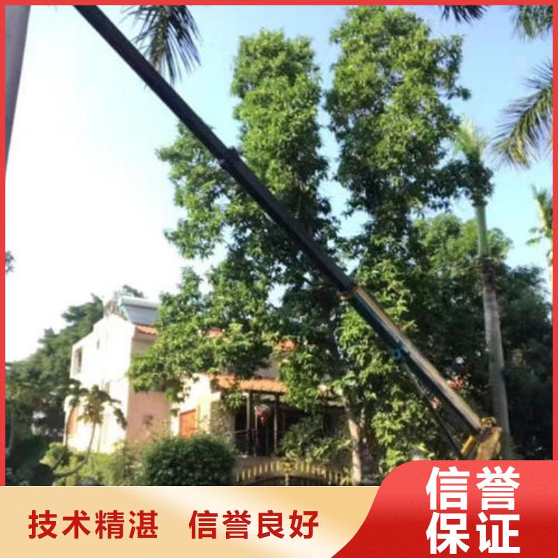 吊篮车出租一天多少钱