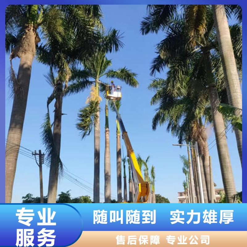广州番禺市政升降车租赁多少钱