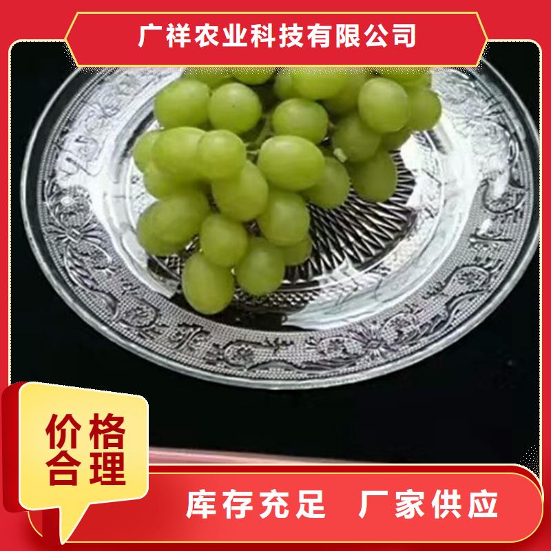 我想买美人指葡萄苗