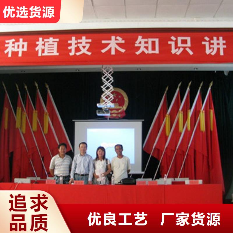黄圃镇妙香草莓苗2025年报价