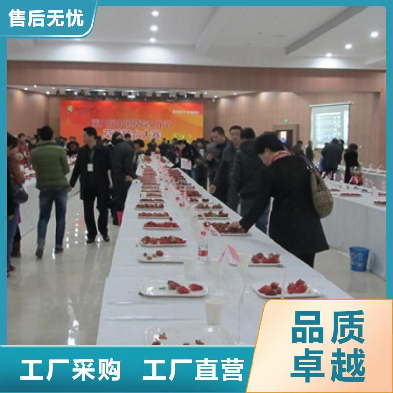 红颜草莓苗批发价格