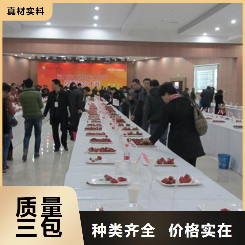 脱毒草莓苗产地直销