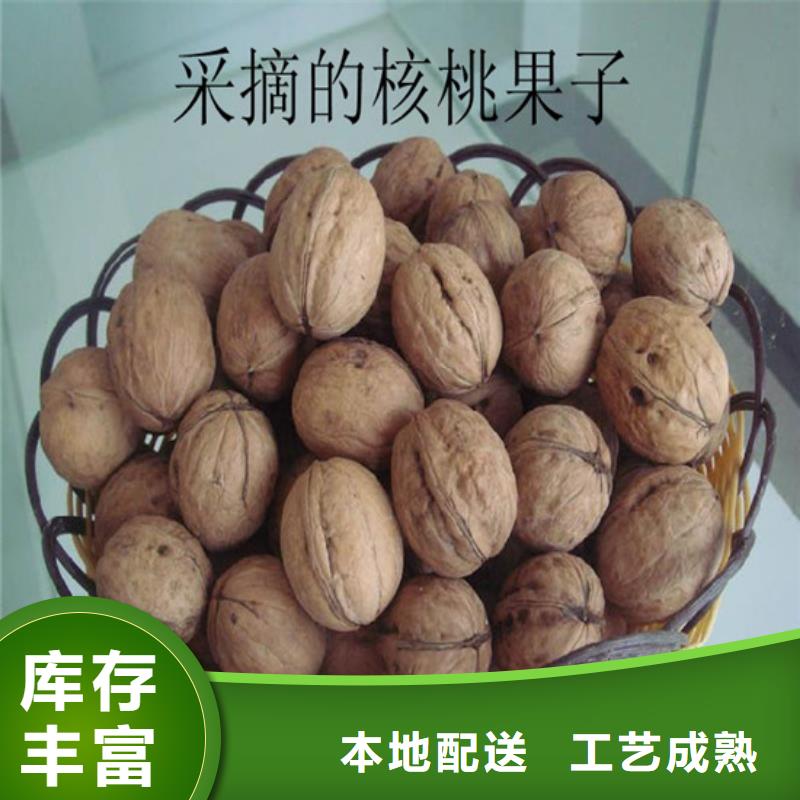 核桃苗毛蟠桃树苗基地现货满足大量采购
