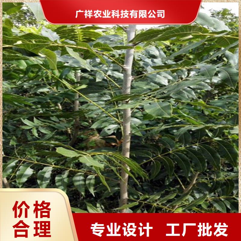 核桃苗,大棚草莓苗拒绝差价