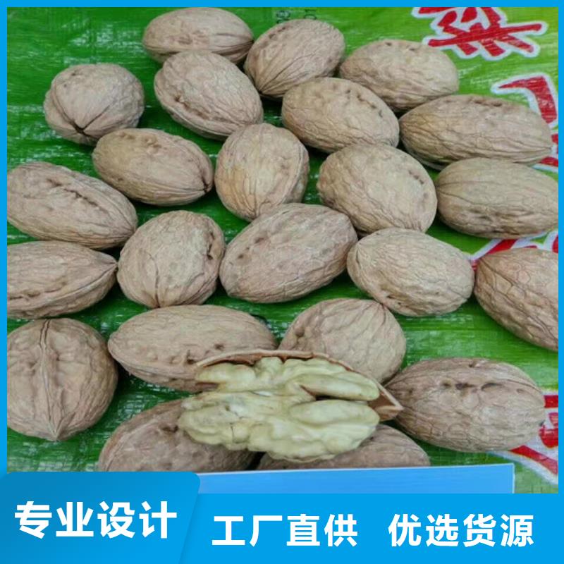 核桃苗板栗苗物美价优