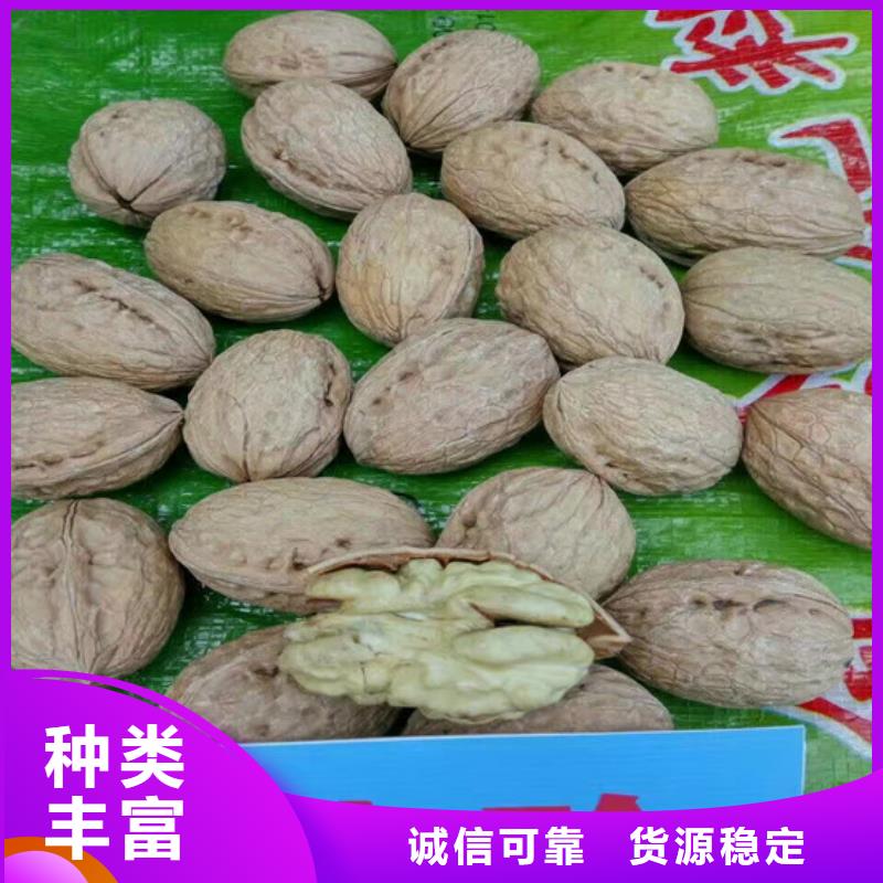 核桃苗-苹果苗制造生产销售