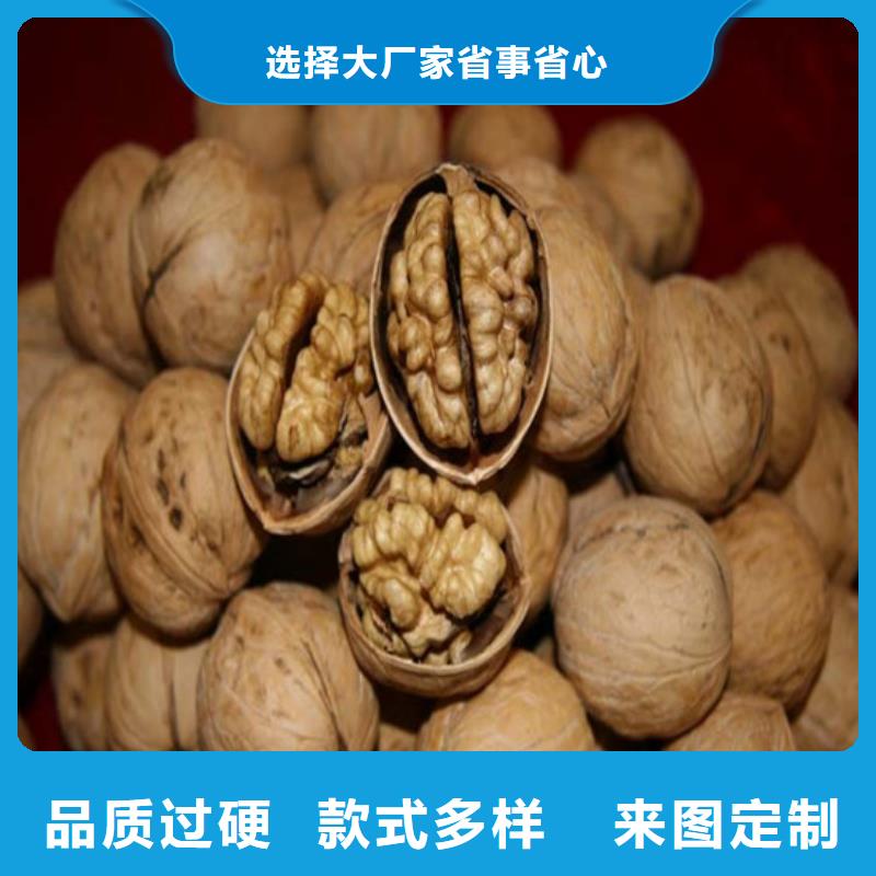 核桃苗珍珠枣油桃树苗用心服务
