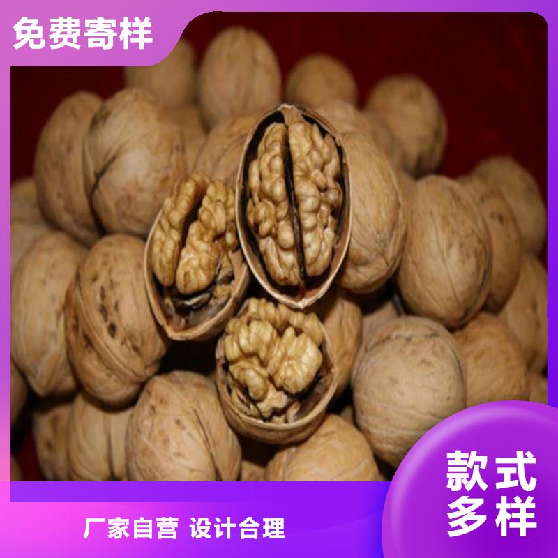 核桃苗果树苗一周内发货