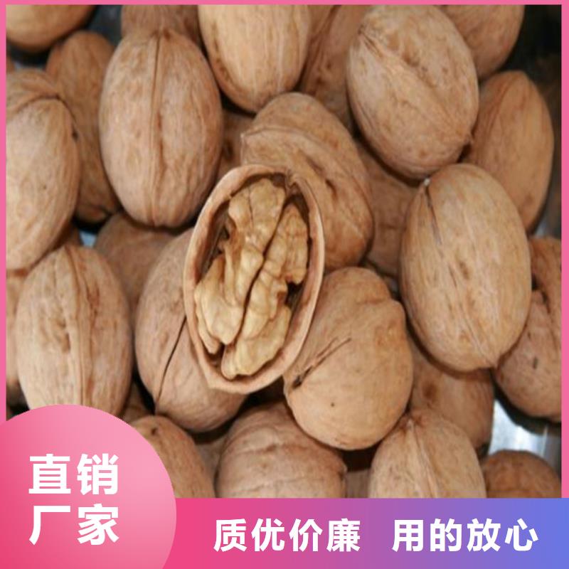 核桃苗草莓苗价格厂家品控严格