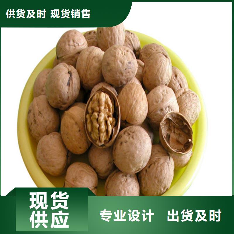 【核桃苗】果树苗批发基地源厂定制