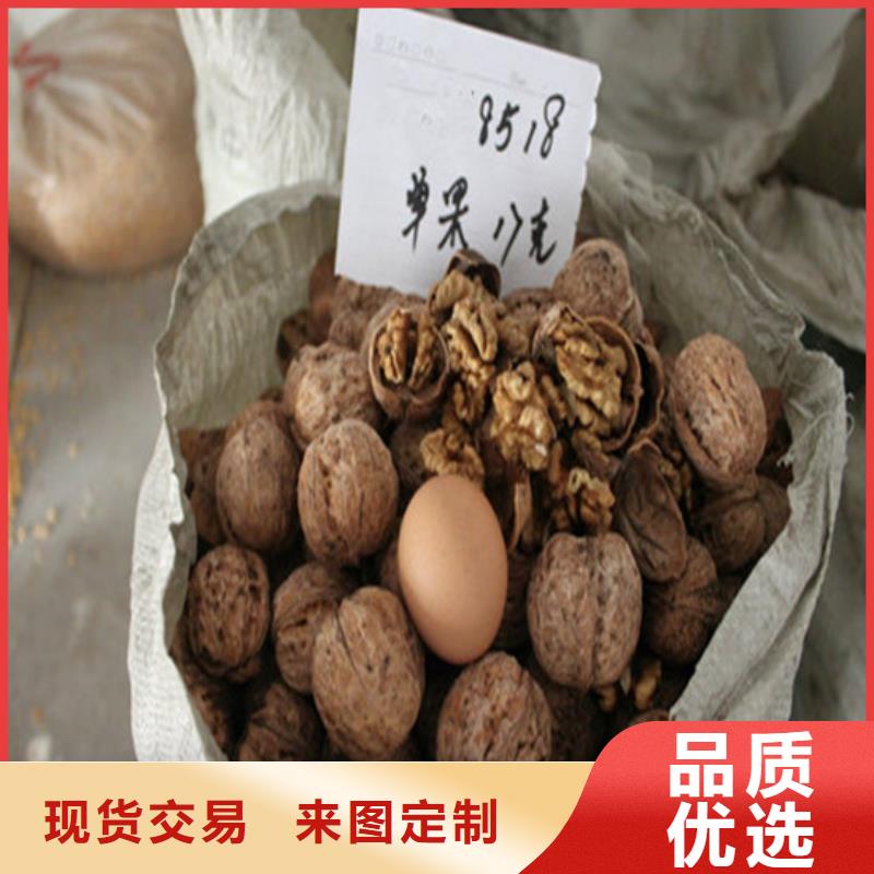 【核桃苗】板栗苗满足您多种采购需求