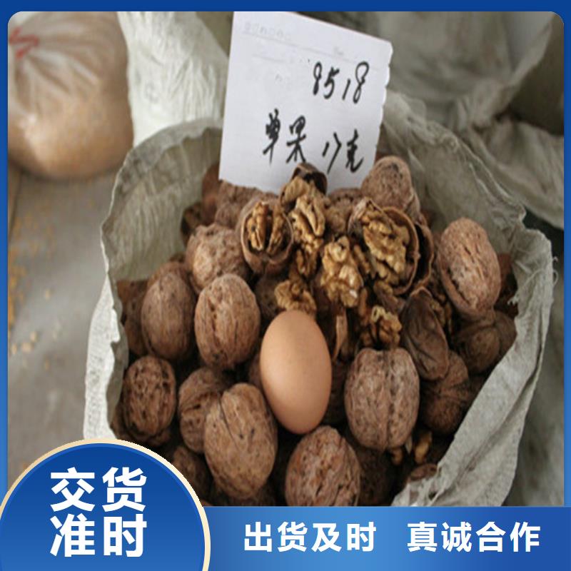 核桃苗【冬雪蜜桃树苗】厂家供应