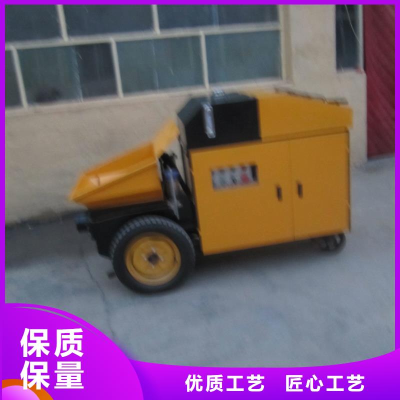 小型二次构造柱泵