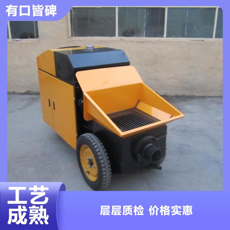 小型二次构造泵直销厂家