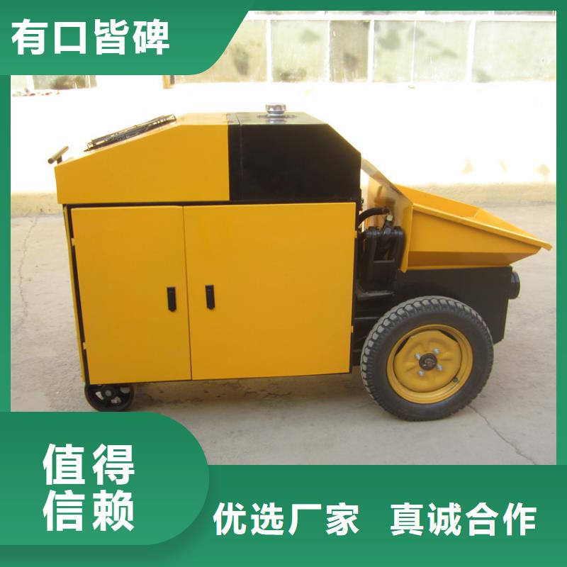 瓜子片混凝土二次构造柱泵