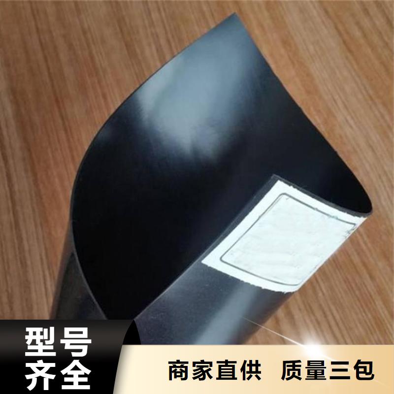 铁路聚乙烯土工膜