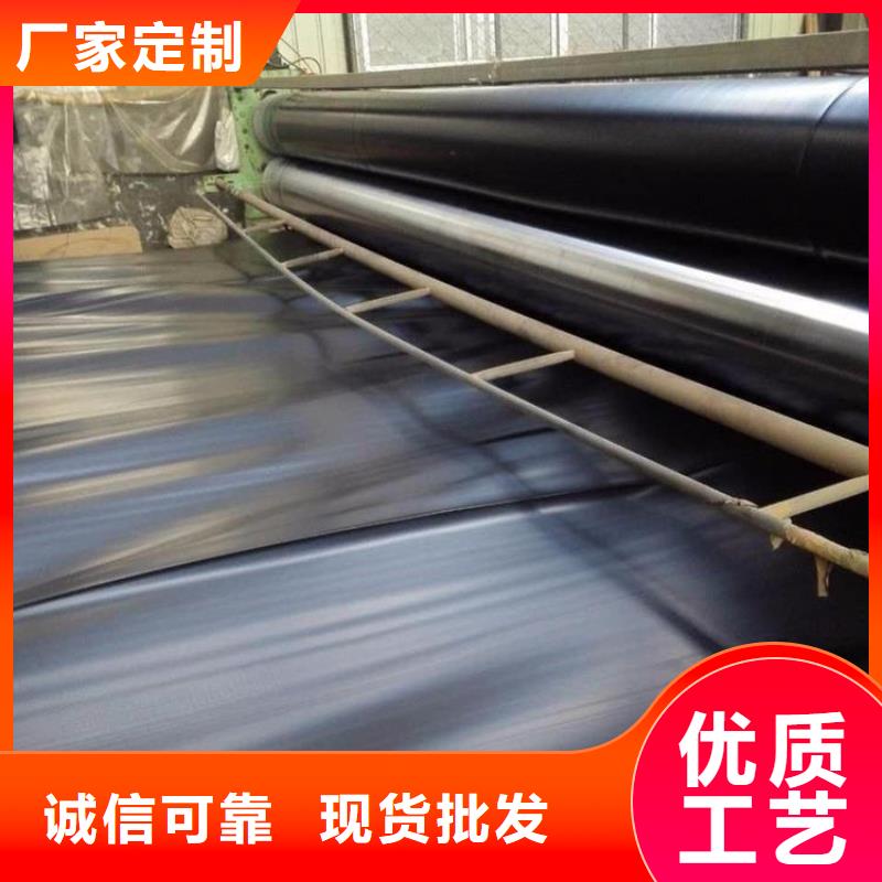 铁路聚乙烯土工膜