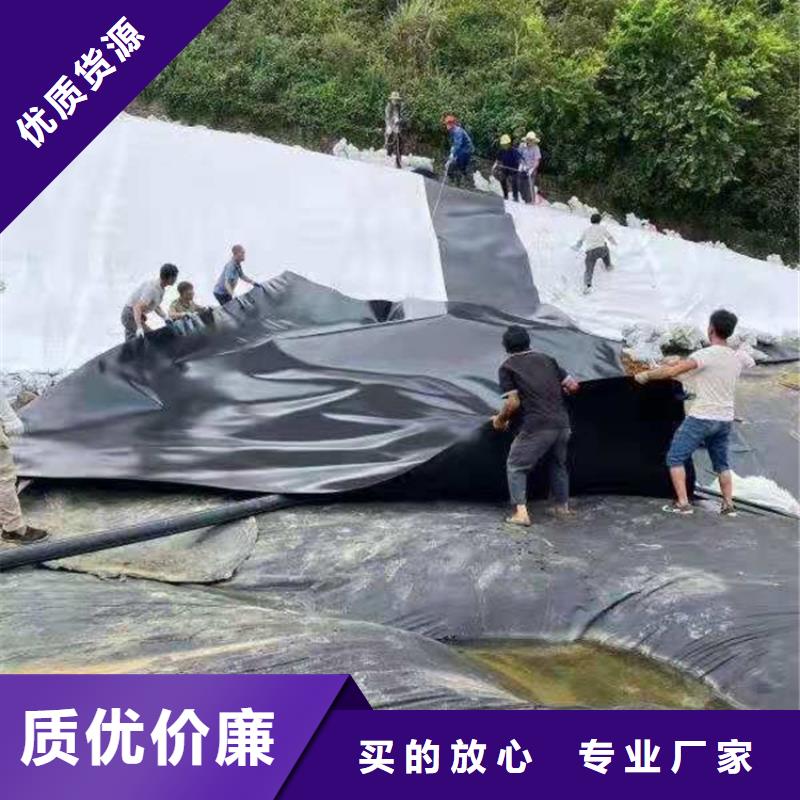 渠道防渗膜市场批发