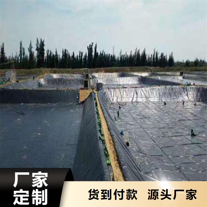 土工膜,土工布精心打造