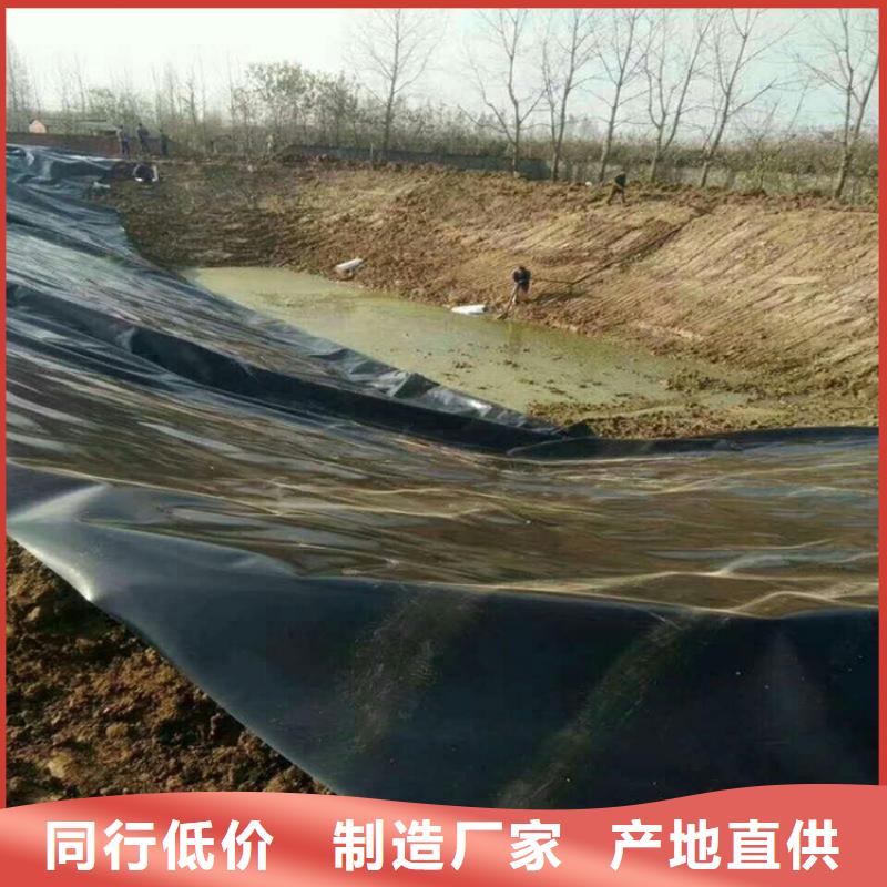 土工膜防渗膜支持定制加工