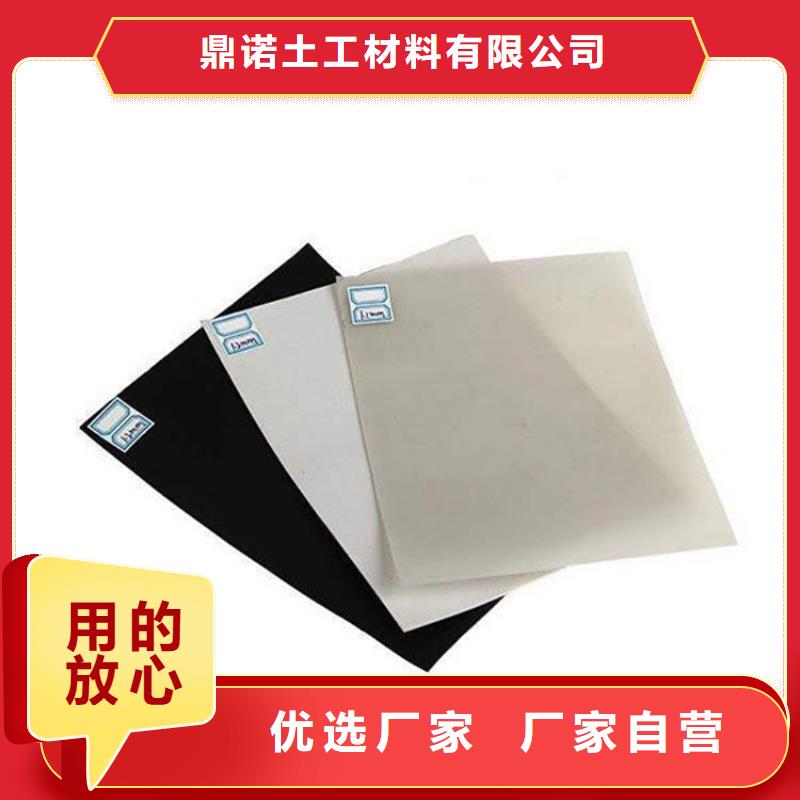 防渗膜鼎诺土工膜 【土工布】当地货源