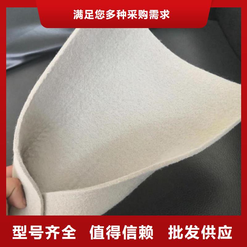 土工布防渗土工膜专注质量