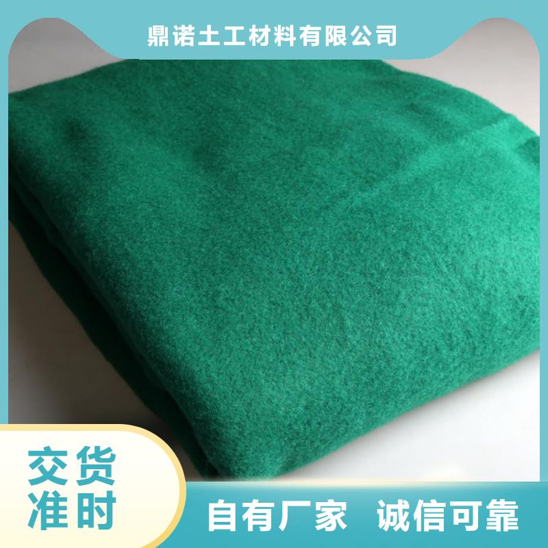 短纤无纺针刺土工布