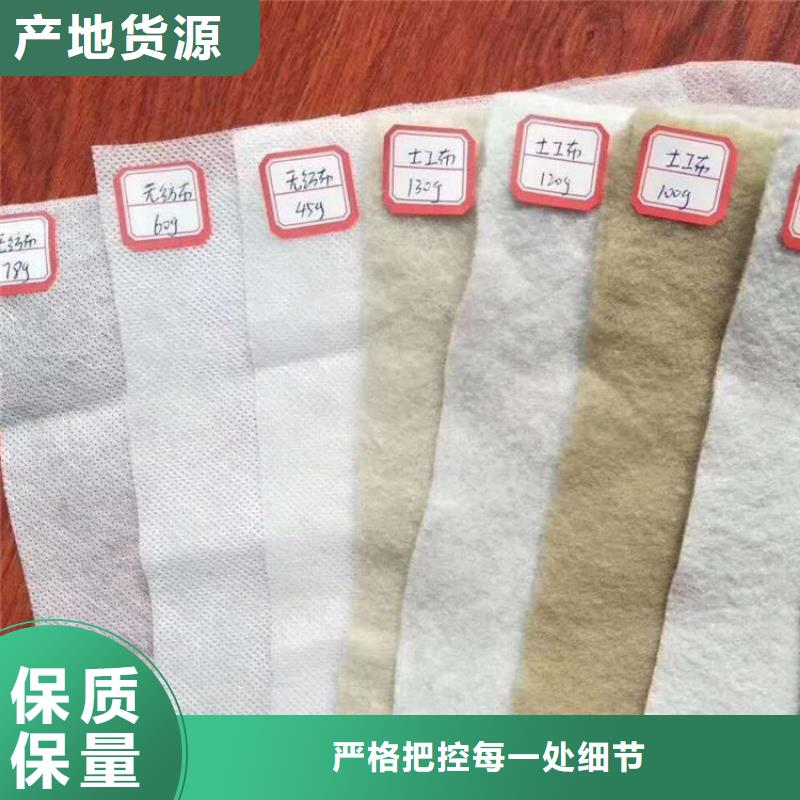 土工布防渗土工膜专注质量