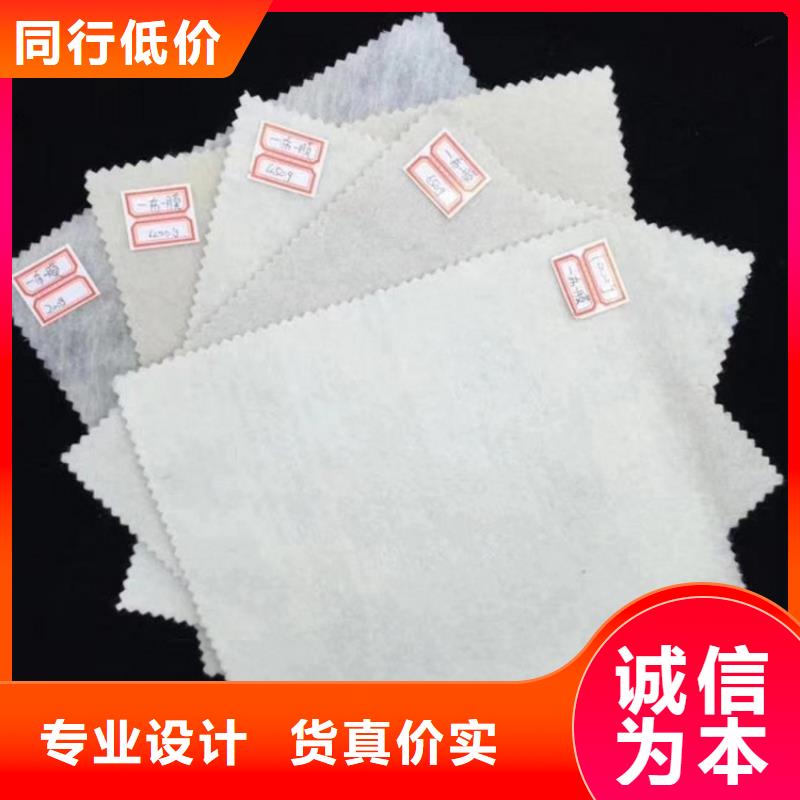 短纤针刺滤水土工布