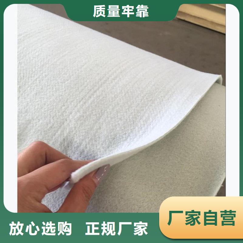 短纤无纺针刺土工布