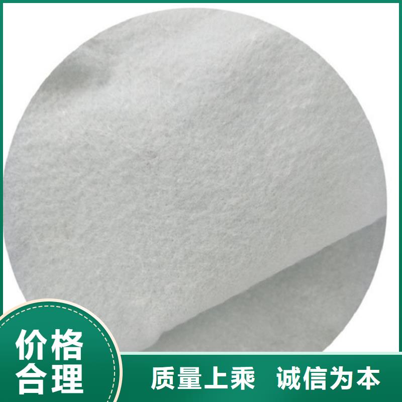 长丝单面烧毛土工布