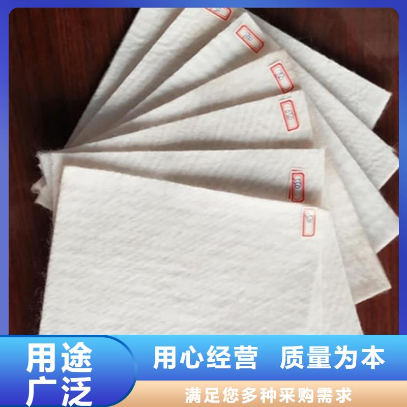 短纤无纺针刺土工布