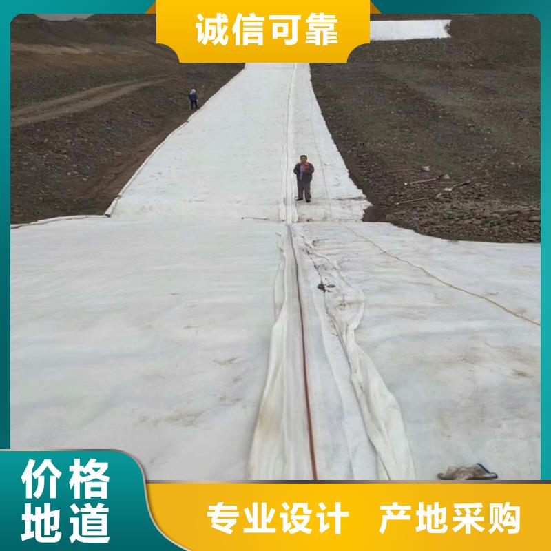 编织短纤针刺土工布