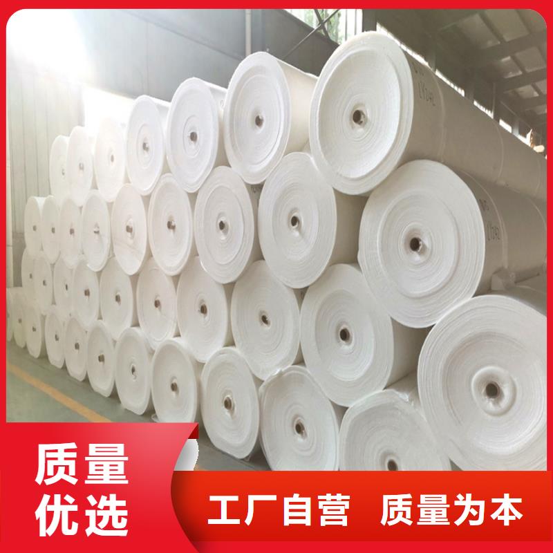 屯昌县反滤土工布