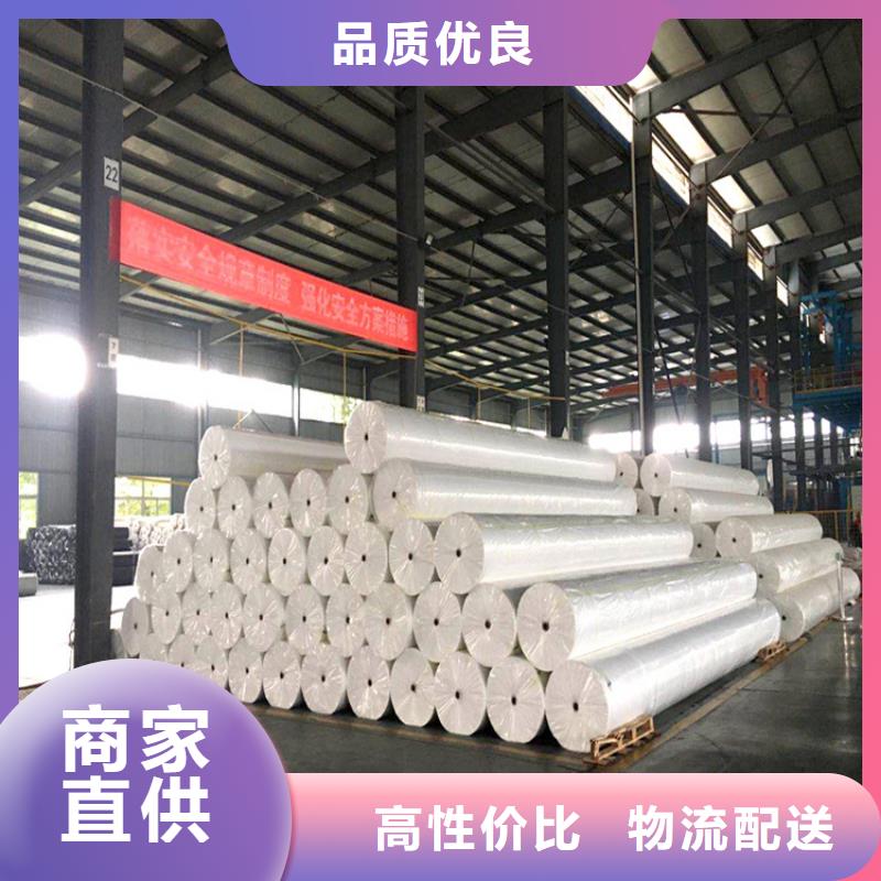 长丝无纺渗水土工布